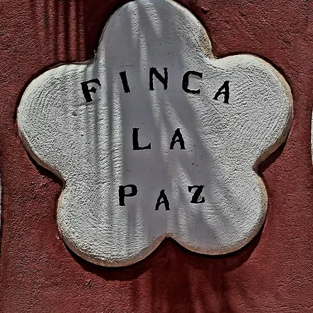 Nyaraló Finca La Paz Costa Adeje (Tenerife)
